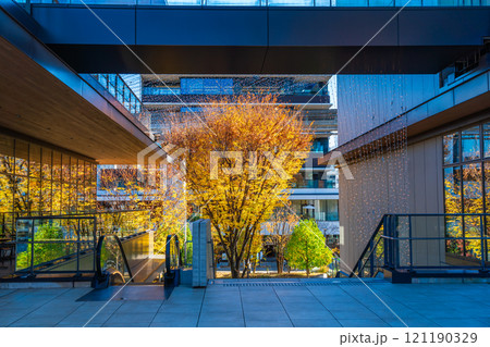 東京都 立川GREEN SPRINGS 立川ステージガーデン 東京都 立川GREEN SPRINGS 立川ステージガーデン 121190329