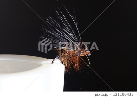 fishing fly 121190433