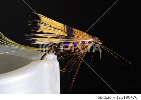 fishing fly 121190470