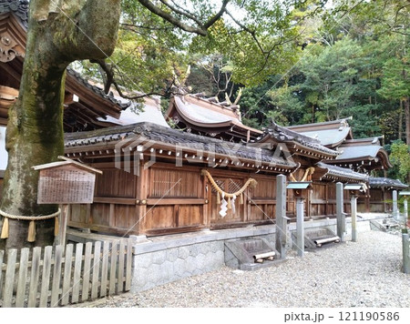 冬の尾張多賀神社　パワースポット 121190586