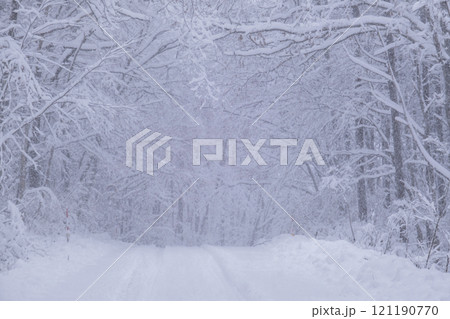 森の雪道　 除雪前　恩原高原周辺 121190770