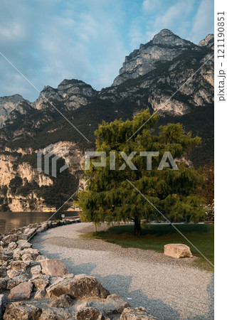 Experience the Serene and Beautiful Landscape of the Dolomites featuring a Tree and Magnificent Mountains Experience the Serene and Beautiful Landscape of the Dolomites featuring a Tree and Magnificent Mountains 121190851