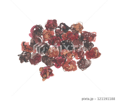 水彩で描いたゴミシ  五味子 121191188