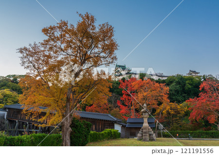 秋の紅葉に染まる、天守閣　和歌山城 121191556