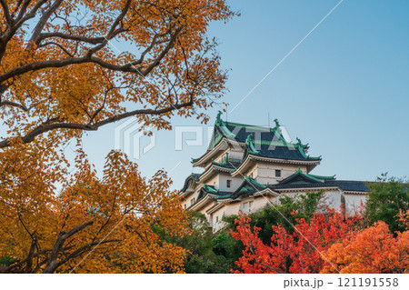 秋の紅葉に染まる、天守閣 和歌山城 秋の紅葉に染まる、天守閣 和歌山城 121191558