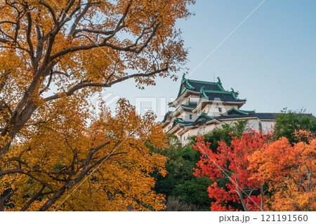 秋の紅葉に染まる、天守閣　和歌山城 121191560