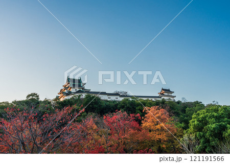 秋の紅葉に染まる、天守閣　和歌山城 121191566