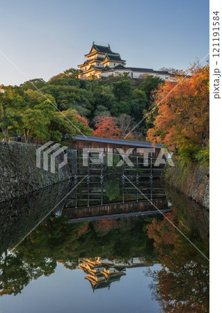 秋の紅葉に染まる、天守閣 和歌山城 秋の紅葉に染まる、天守閣 和歌山城 121191584