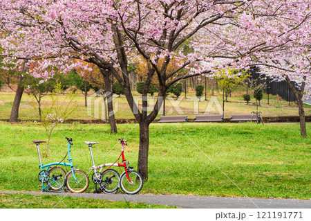 【桜】サイクリング　春の自然風景 121191771