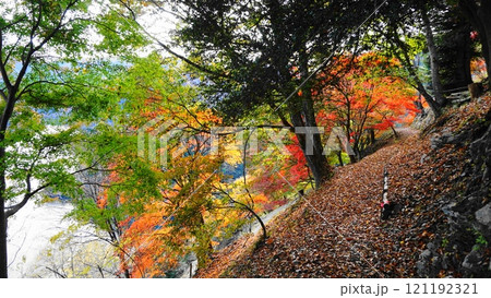 秋の奥多摩ハイキング 秋の奥多摩ハイキング 121192321