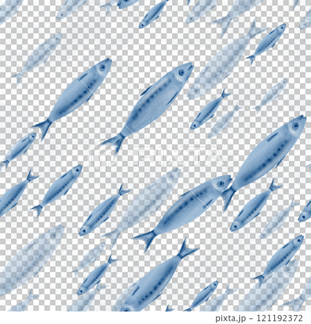 Sardine fish in diagonal swimming seamless pattern in stylized watercolor illustration on a transparent background for the holiday sardine funeral,fish restaurants,posters,fish markets and stores 121192372