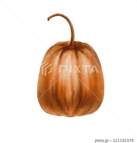 Rustic orange pumpkin from the fall harvest as a festive holiday symbol.Farm healthy food.Party decoration for Halloween,Thanksgiving,pie recipe.Hand-drawn watercolor clipart on transparent background 121192379