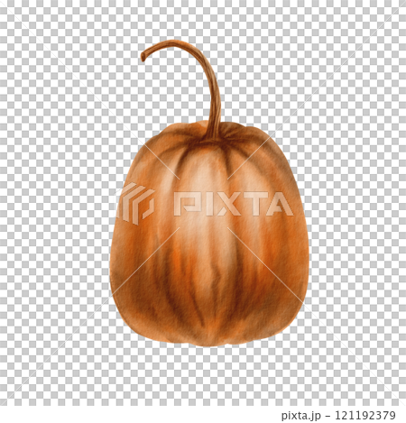 Rustic orange pumpkin from the fall harvest as a festive holiday symbol.Farm healthy food.Party decoration for Halloween,Thanksgiving,pie recipe.Hand-drawn watercolor clipart on transparent background 121192379