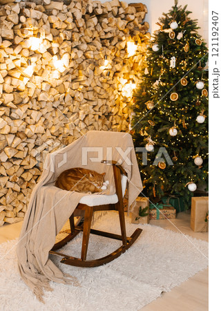 Cute red cat is laying on a rocking chair in front of a Christmas tree. Cozy and festive Cute red cat is laying on a rocking chair in front of a Christmas tree. Cozy and festive 121192407