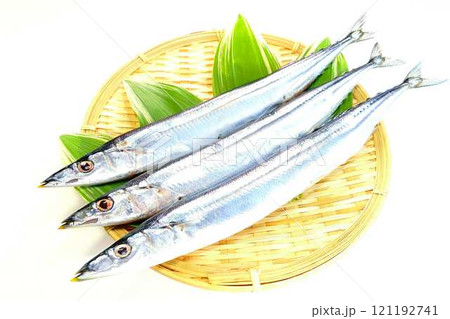 サンマ 秋刀魚 さんま サンマ 秋刀魚 さんま 121192741