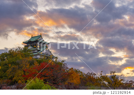 紅葉に包まれた夕暮れ時の大阪城 紅葉に包まれた夕暮れ時の大阪城 121192914