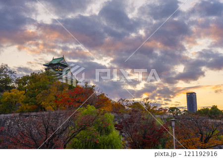 紅葉に包まれた夕暮れ時の大阪城 紅葉に包まれた夕暮れ時の大阪城 121192916