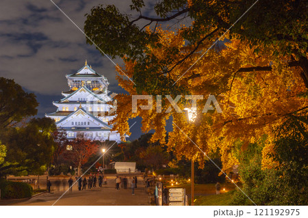 秋の大阪　黄葉したイチョウの葉と大阪城天守閣ライトアップ　本丸広場にて 121192975