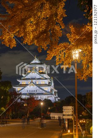 秋の大阪 黄葉したイチョウの葉と大阪城天守閣ライトアップ 本丸広場にて 秋の大阪 黄葉したイチョウの葉と大阪城天守閣ライトアップ 本丸広場にて 121192977