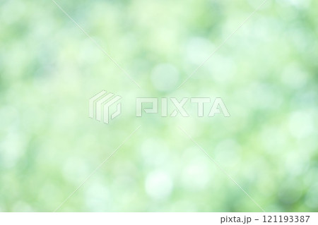 Soft focus Green Pastel Abstract bokeh background Glittering aesthetic textured pattern Soft focus Green Pastel Abstract bokeh background Glittering aesthetic textured pattern 121193387