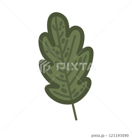 Vector oak leaf illustration in deep green with natural details. Hand-drawn illustration in simple cartoon style. Great for creating natural-looking decor or eco-friendly materials 121193890