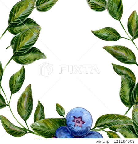 Juicy blueberries and green leaves form a botanical frame. A detailed illustration perfect for nature-themed designs. Foliage and berries create a vibrant border. Art perfect for organic themes Juicy blueberries and green leaves form a botanical frame. A detailed illustration perfect for nature-themed designs. Foliage and berries create a vibrant border. Art perfect for organic themes 121194608
