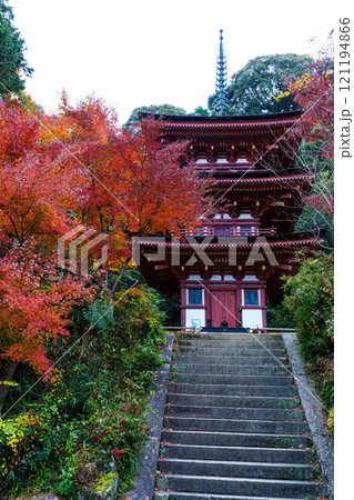 初冬の京都木津川市浄瑠璃寺の紅葉 石段を上がった高台にある三重塔と紅葉 左斜め前方より 初冬の京都木津川市浄瑠璃寺の紅葉 石段を上がった高台にある三重塔と紅葉 左斜め前方より 121194866