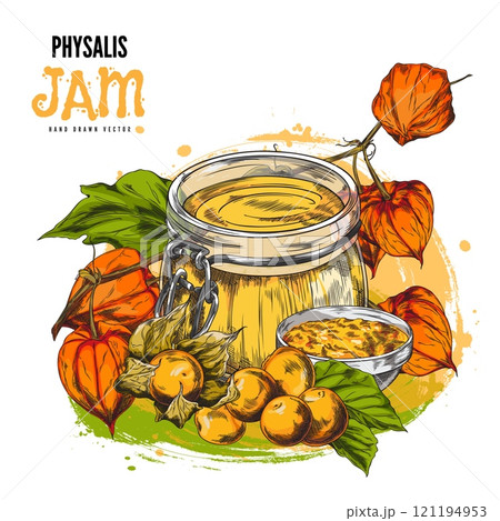 Glass jar with Physalis plant jam, leaves and berries sketch, hand drawn gooseberry fruit farm food product label design 121194953