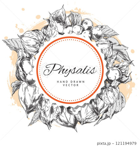 Illustration with round frame with physalis flowers in graphic black and white style. 121194979