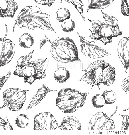 Vector seamless pattern in the style of a black-and-white sketch with fruits, leaves of physalis 121194998
