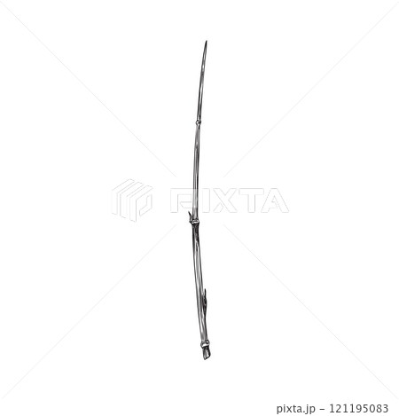 Bamboo plant stalk piece engraved sketch, vector hand drawn Asian nature floral design element, East forest Bamboo twig 121195083