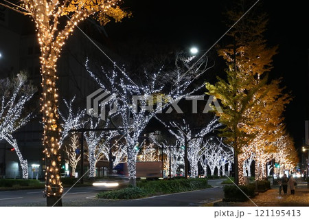 けやき大通りイルミネーション　和歌山市 121195413