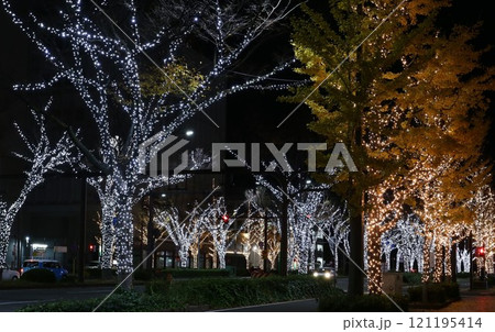 けやき大通りイルミネーション　和歌山市 121195414