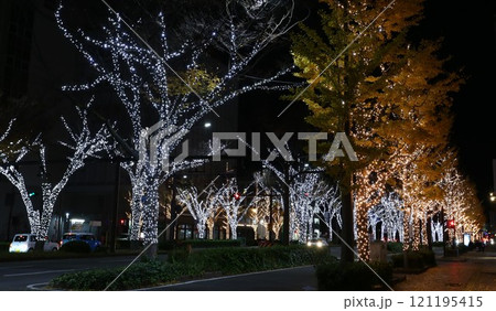 けやき大通りイルミネーション　和歌山市 121195415