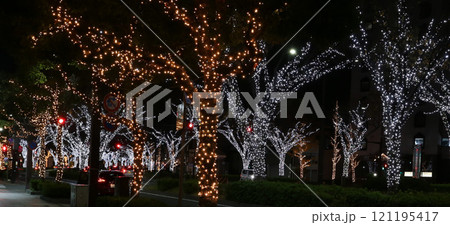 けやき大通りイルミネーション　和歌山市 121195417