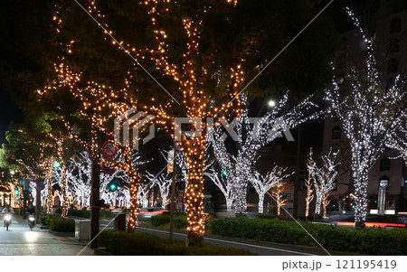 けやき大通りイルミネーション　和歌山市 121195419