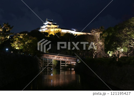 ライトアップされた和歌山城　和歌山市 121195427