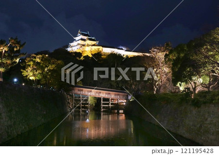 ライトアップされた和歌山城　和歌山市 121195428