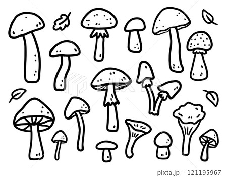 A set of autumn mushrooms A set of autumn mushrooms 121195967