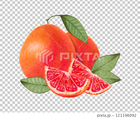 Grapefruit composition. Whole and sliced product with leaves. Watercolor and marker illustration. Eco friendly orange fruit. Hand drawn isolated art. Healthy food for food packaging, juice, menu. 121196092