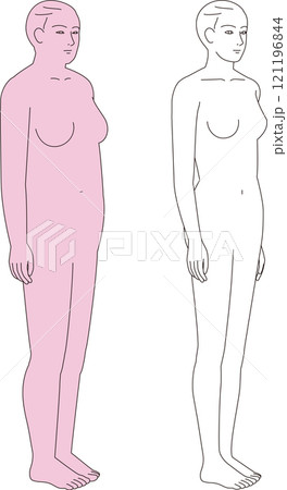 太った女性とスリムな女性. ダイエットのビフォーアフターの全身のイラスト 太った女性とスリムな女性. ダイエットのビフォーアフターの全身のイラスト 121196844
