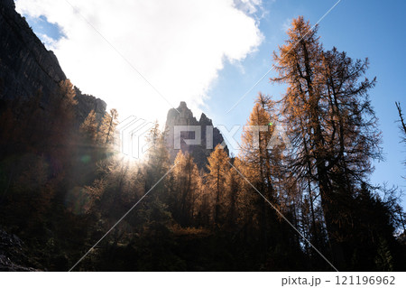 Sun shining over a mountain cliff, illuminating the tops of autumn colored larch trees 121196962
