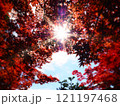 紅葉と光 121197468