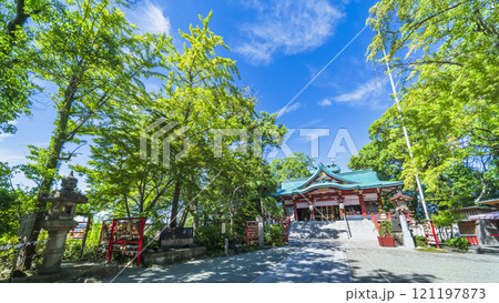 新緑に覆われた多摩川浅間神社の風景【東京都・大田区】 121197873