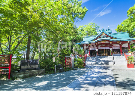 新緑に覆われた多摩川浅間神社の風景【東京都・大田区】 新緑に覆われた多摩川浅間神社の風景【東京都・大田区】 121197874