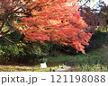 秋の紅葉が美しい公園 121198088