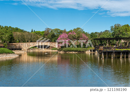 １１月 十一月 11月 121198190