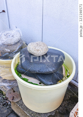 重しの石を乗せた野沢菜漬け 121198571