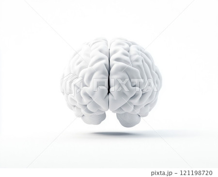 Minimalistic Brain Model on White Background 121198720