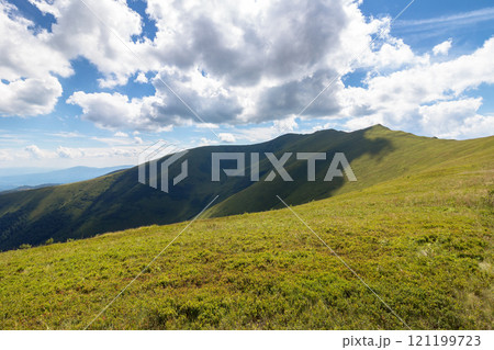 scenery of borzhava ridge in summer. alpine landscape of carpathian mountain range on a sunny day. grassy meadows and rolling hills. travel ukraine scenery of borzhava ridge in summer. alpine landscape of carpathian mountain range on a sunny day. grassy meadows and rolling hills. travel ukraine 121199723